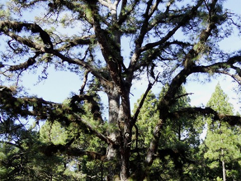 Test 2